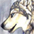 :iconshe-wolf69: