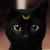 :iconshe14:
