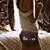 :iconshe50o0: