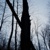 :iconsheandherdarkness: