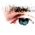 :iconshearerart: