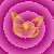 :iconsheba14: