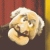 :iconsheber: