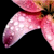 :iconshedevilbg: