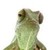 :iconshedxb: