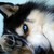:iconsheenaxlover: