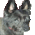 :iconsheepsgobaaa: