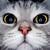 :iconsheepwhite: