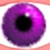 :iconsheherazahde: