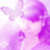 :iconsheilayala: