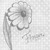 :iconsheisawitch: