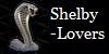 :iconshelby-lovers: