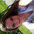 :iconshelbyltucker: