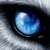 :iconshelforry: