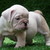 :iconsheli12: