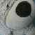:iconshell-e: