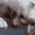 :iconshellbuststab9: