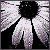 :iconshells-bells: