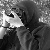 :iconshelltree: