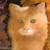 :iconshelly68: