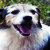 :iconshellysuri: