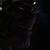 :iconshemadog: