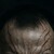:iconshenkster: