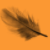 :iconshennka: