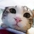 :iconshenqiuboy: