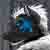 :iconshenro: