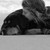 :iconshepardscamera: