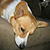 :iconshepstone: