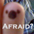 :iconsheretwilight:
