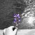 :iconsheridan-ingalls: