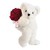 :iconsherifayad66: