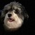 :iconshermantheworm: