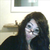 :iconsherry27: