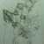 :iconsherwinjan06:
