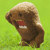 :iconsherwood05: