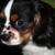 :iconshesadreamer1990: