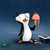 :iconsheshuanimator:
