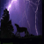:iconshewolf-of-the-night: