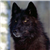 :iconshewolf1992: