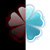 :iconshezz150: