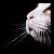 shhkitty :iconshhkitty: