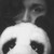 :iconshiawasenabaka: