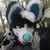 :iconshiba95: