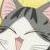:iconshibbikitteh: