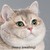 shibuyapurin :iconshibuyapurin: