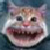 :iconShidda1: